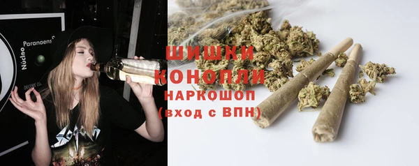 дмт Бородино