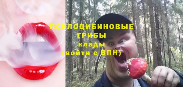 бутират Верея