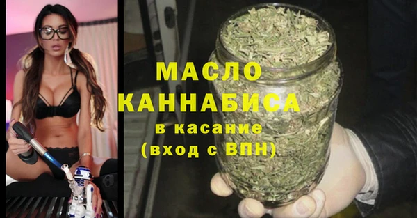 дмт Бородино
