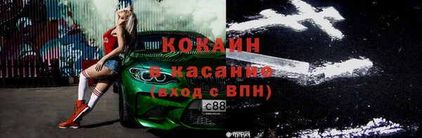 дмт Бородино
